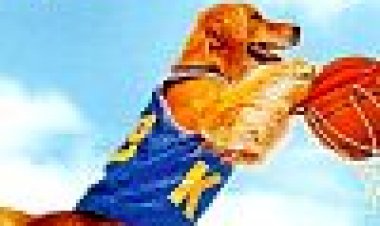 שחקן על ארבע כתובית | Air Bud Subtitle