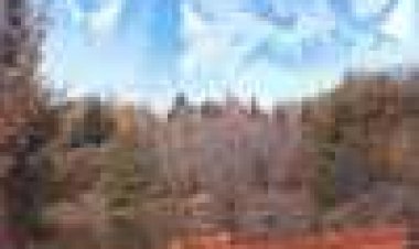 סיפורי מחנה כתובית | Camp Stories Subtitle