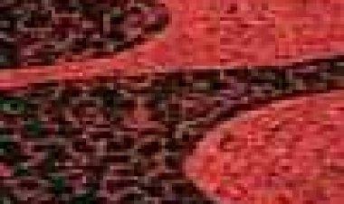 קופקבנה כתובית | Copacabana Mon Amour Subtitle