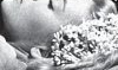 וירידיאנה כתובית | Viridiana Subtitle