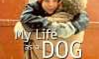 סיפורים שסיפרתי לאמא כתובית | My Life As A Dog Subtitle