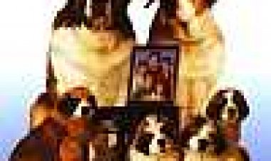 בטהובן 2 כתובית | Beethoven's 2Nd Subtitle