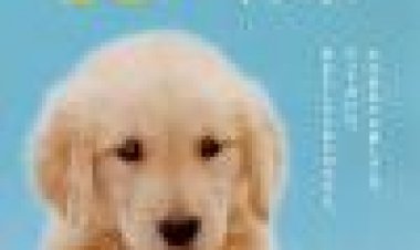 10 Promises To My Dog כתובית | Inu To Watashi No 10 No Yakusoku Subtitle