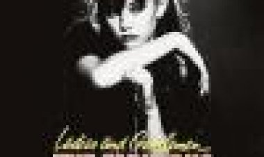 גבירותי ורבותי, הכתמים הנפלאים / כתובית | Ladies And Gentlemen, The Fabulous Stains Subtitle