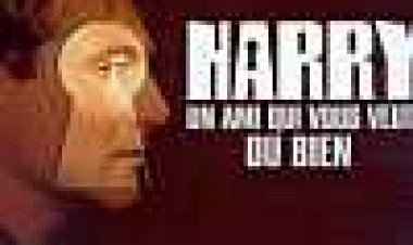 הארי, חבר אמיתי כתובית | With A Friend Like Harry Subtitle