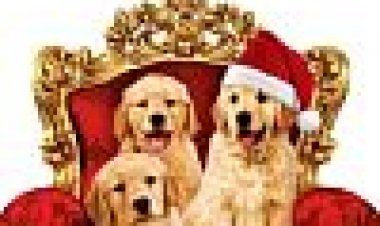 חג מולד הזהב / כתובית | A Golden Christmas Subtitle