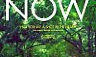 העכשיו המדהים כתובית | The Spectacular Now Subtitle