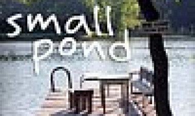 בריכה קטנה כתובית | Small Pond Subtitle