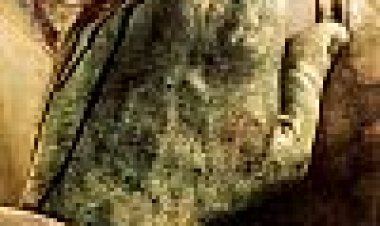 הנערים הקצבים כתובית | Butcher Boys Subtitle