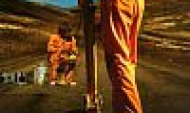 Either Way כתובית | A Annan Veg Subtitle