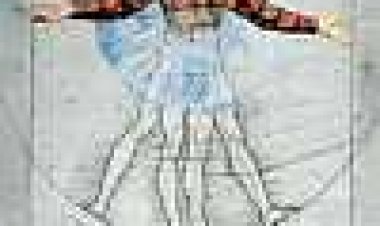 האנטומיה של גריי כתובית | Gray's Anatomy Subtitle