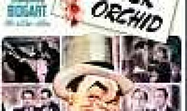 האח אורכידאה כתובית | Brother Orchid Subtitle