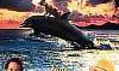 זאוס ורוקסנה כתובית | Zeus And Roxanne Subtitle