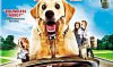 כלב אבוד כתובית | Dog Gone Subtitle