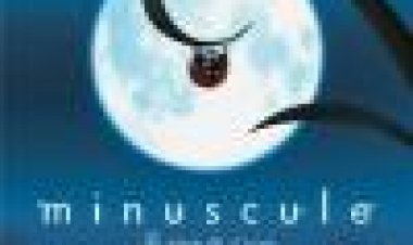 קטנטנים כתובית | Minuscule Subtitle