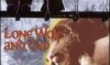 זאב בודד וקוב: חרב של נקמה / כתובית | Lone Wolf And Cub: Sword Of Vengeance Subtitle