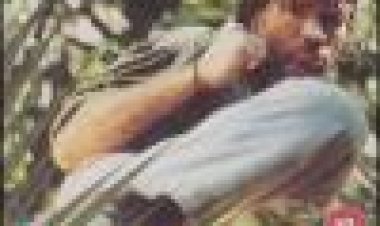 מוגזם כתובית | Overkill Subtitle