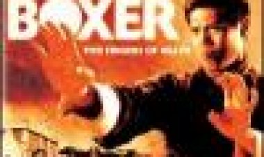 אגרוף הברזל כתובית | King Boxer Subtitle