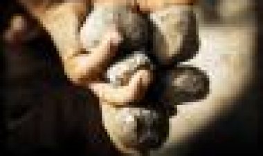 עמק הזאבים: פלסטין כתובית | Valley Of The Wolves: Palestine Subtitle