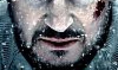 שטח פראי כתובית | The Grey Subtitle