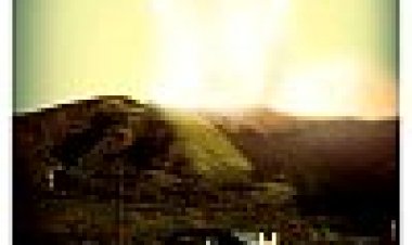 פרח הפעמונית כתובית | Bellflower Subtitle