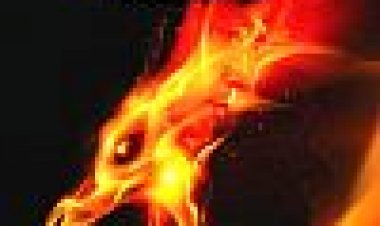 גלגל המזלות הסיני כתובית | Chinese Zodiac Subtitle