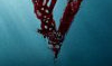 הוויקינגים עונה 1 כתובית | Vikings Season 1 Subtitle