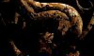 מורטל קומבט כתובית | Mortal Kombat Subtitle