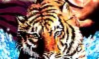 שובו של הטייגר כתובית | Return Of The Tiger Subtitle