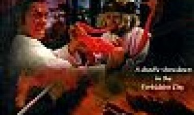 בלתי מנוצח שאולין כתובית | Shaolin Invincibles Subtitle