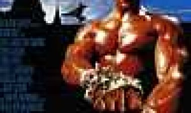 קיקבוקסר כתובית | Kickboxer Subtitle