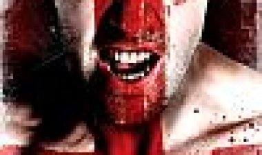 בלי חוקים 3: לעולם אל תיכנע כתובית | Green Street 3: Never Back Down Subtitle