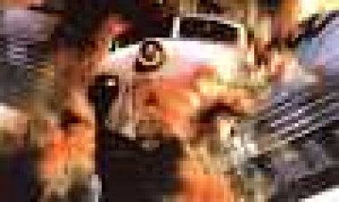 רכבת אל המוות כתובית | Death Train Subtitle