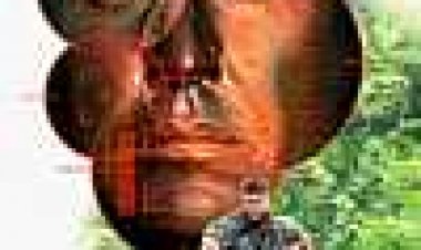 הצלף כתובית | Sniper Subtitle