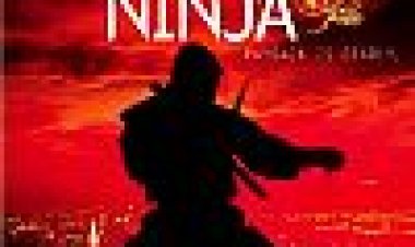 נקמת הנינג'ה כתובית | Revenge Of The Ninja Subtitle