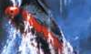 חלוצי החלל - מסעה האחרון של יאמטו כתובית | Final Yamato Subtitle