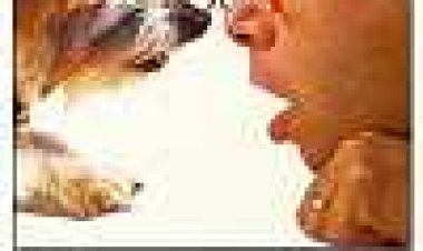 מותק, הילדים התכוצו כתובית | Honey, I Shrunk The Kids Subtitle