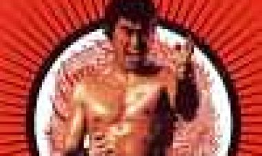 לוחם הרחוב כתובית | The Street Fighter Subtitle