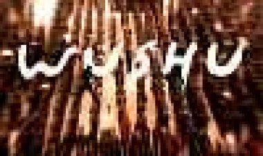 וושו כתובית | Wushu Subtitle