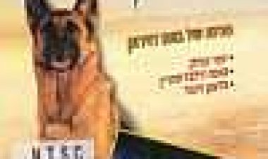 עזית הכלבה הצנחנית כתובית | Azit Hakalba Hatzanhanit Subtitle