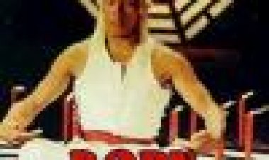 הבלתי מנוצח כתובית | Tai Ji Yuan Gong Subtitle