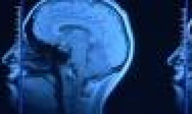 מאבק המוחות כתובית | Horizon - Battle Of The Brains Subtitle