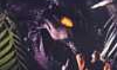 סיכון גנטי כתובית | DNA Subtitle