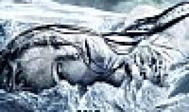 100 מעלות מתחת לאפס כתובית | 100 Degrees Below Zero Subtitle