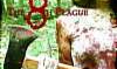 המגיפה השמינית כתובית | The 8Th Plague Subtitle