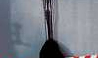 ליל הזאב כתובית | Ulvenatten Subtitle