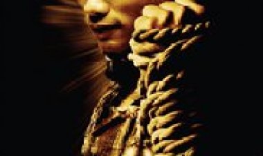 המגן כתובית | The Protector Subtitle