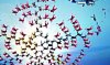 שמיים ורודים כתובית | Pink Skies Subtitle