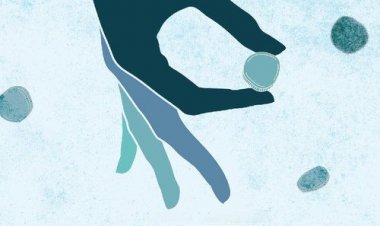 שוד המטבעות כתובית | Coin Heist Subtitle