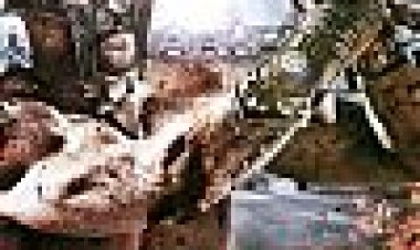 ממלכת גלדיאטורים כתובית | Kingdom Of Gladiators Subtitle